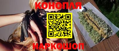 сатива Лесосибирск