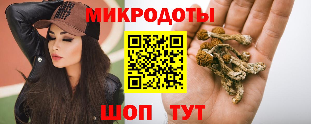 Галлюциногенные грибы Psilocybe Южно-Сахалинск